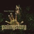 Victor_Wooten_Palmystery_Album.jpg