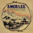 Amos Lee As The Crow Flies.jpg
