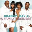 Brandy & Ray J Family Affair.jpg