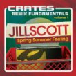 Jill Scott Crates Remix Fundamentals Vol. 1.jpg