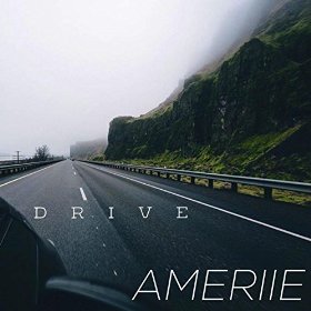 drive_ameriie.jpg