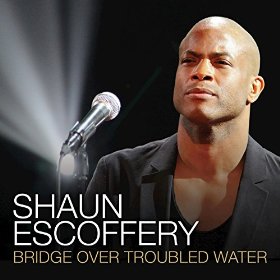shaun_escoffery_bridge_over_troubled_water.jpg